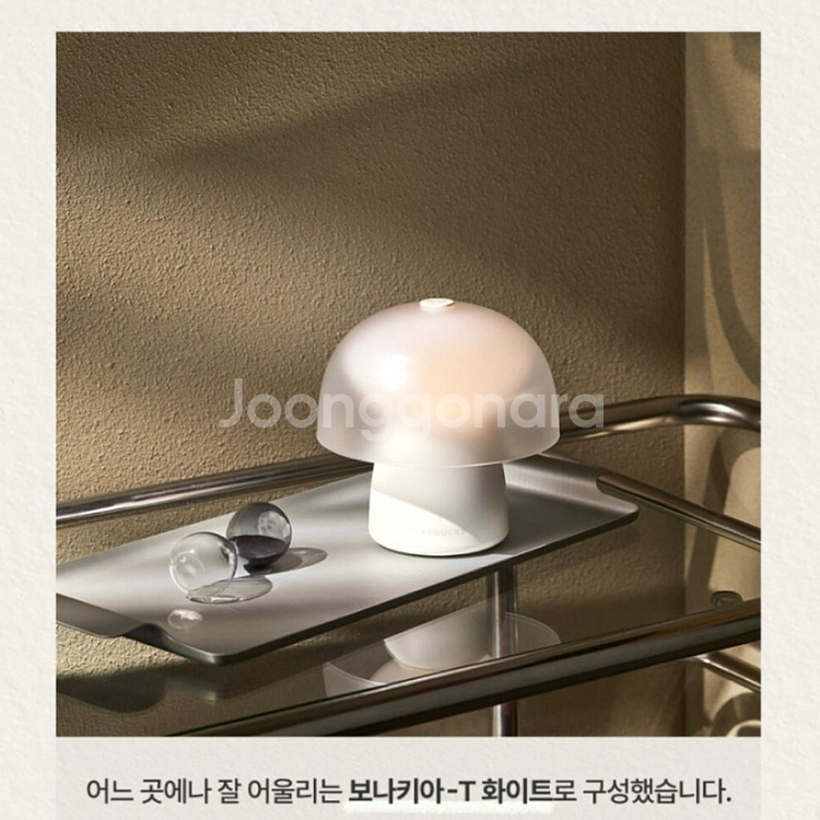 [새상품]스타벅스 보니키아-t(화이트)--0