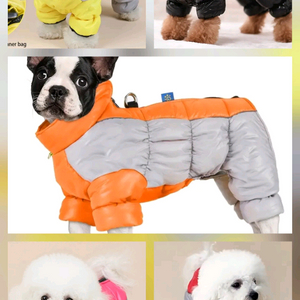 L XL 2XL(3.5 -7.5kg) 강아지옷 패딩