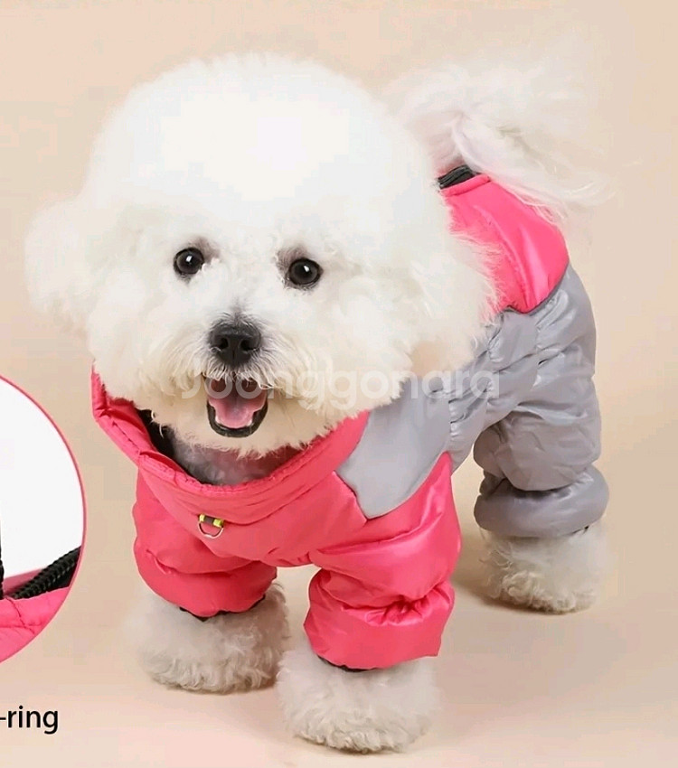 L XL 2XL(3.5 -7.5kg) 강아지옷 패딩--5