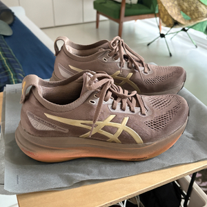 아식스 젤 카야노 31 럭스 (size 250) 팝니다.