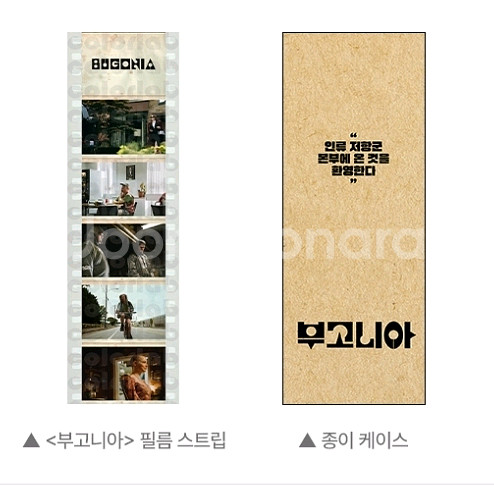 부고니아 필름 스트립--0