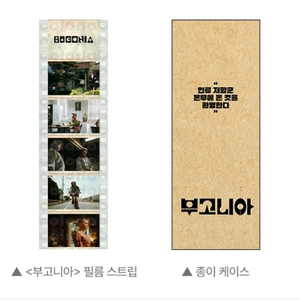 부고니아 필름 스트립