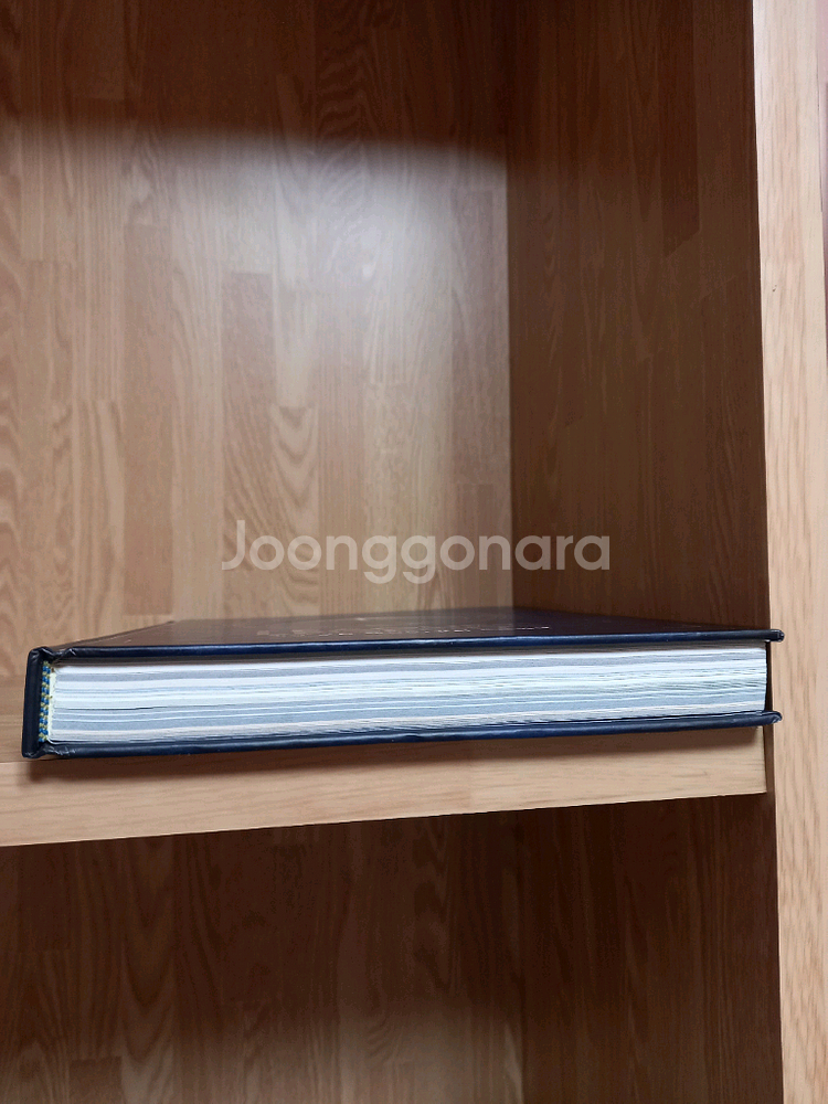 리그 오브 레전드 공식 스토리북 [룬테라의 세계]--4