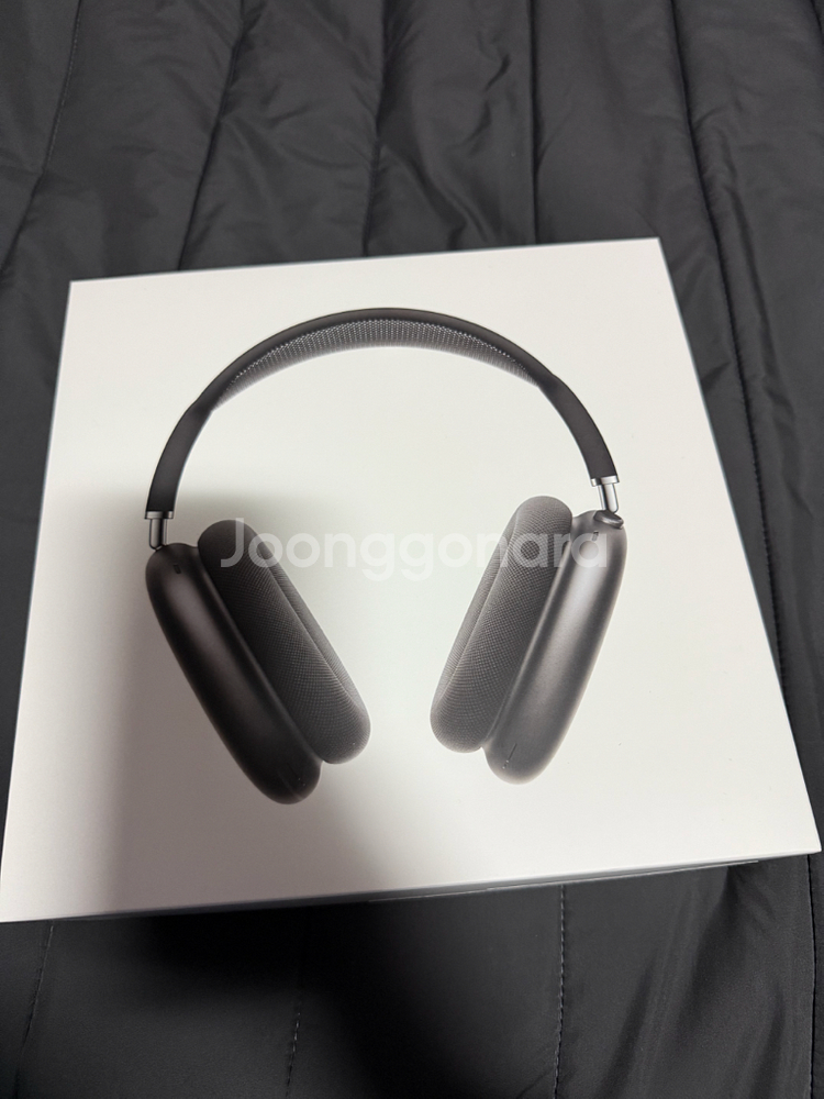 애플 에어팟 맥스--0