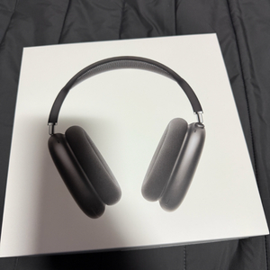 애플 에어팟 맥스