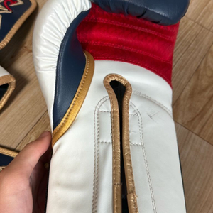 복싱 글러브 14온즈