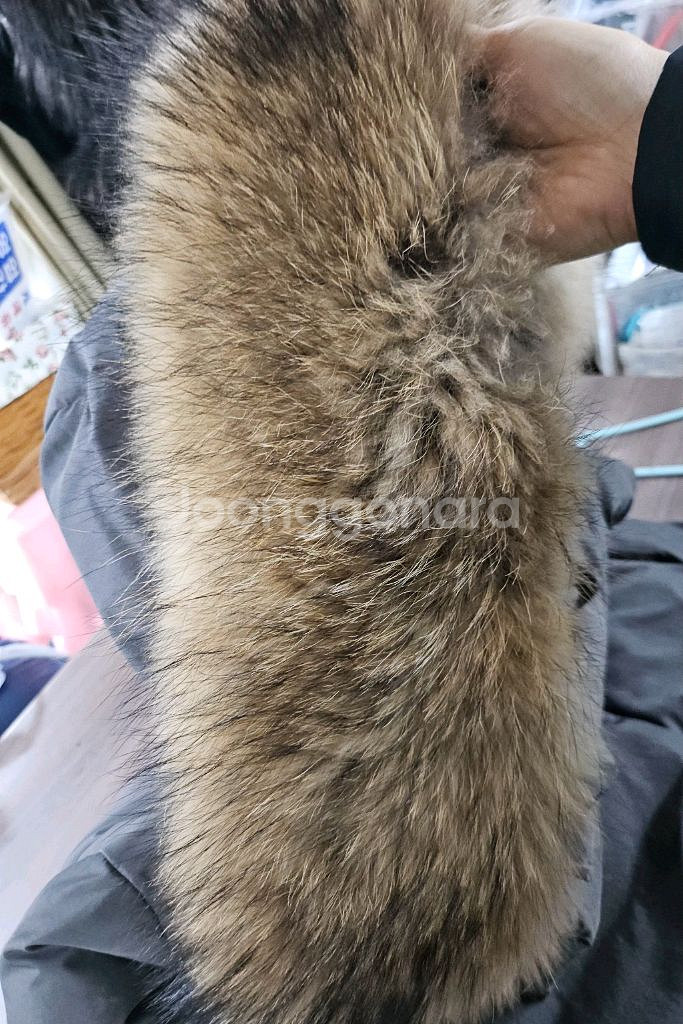 CLOSER 구스 패딩 M--2