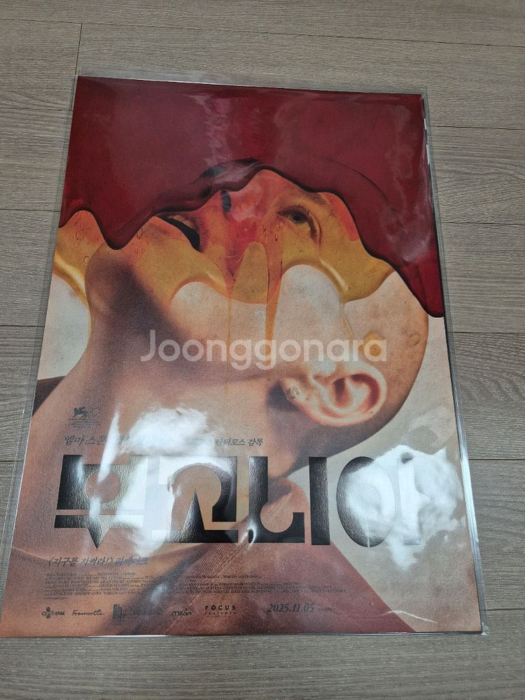 부고니아 포스터--0