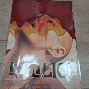 부고니아 포스터