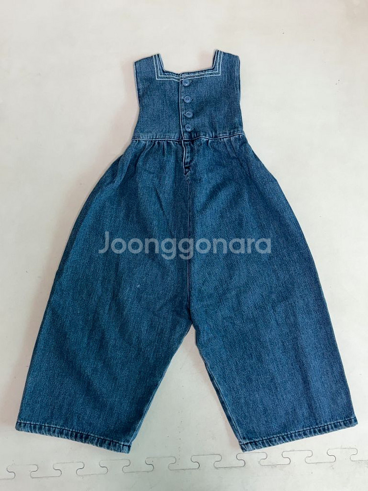 아폴리나 청 덩가리 3-5--1