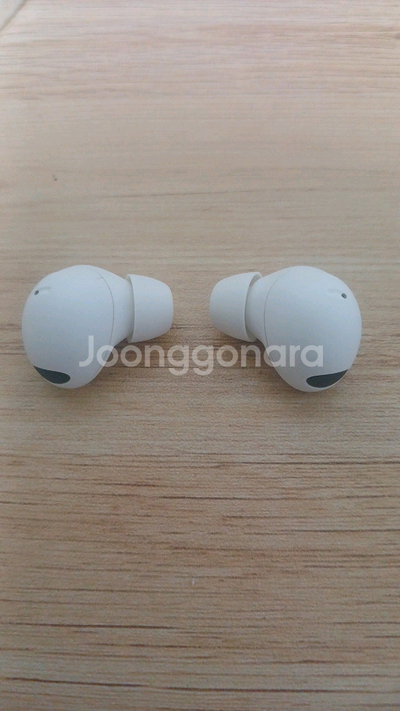 갤럭시 버즈2 프로--5