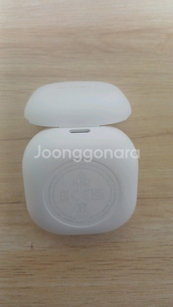 갤럭시 버즈2 프로--9