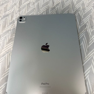 아이패드프로 13인치 셀룰러 256 실버 12월개통가능