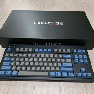 리얼포스 R3 그레이블루 45g 저소음 급처