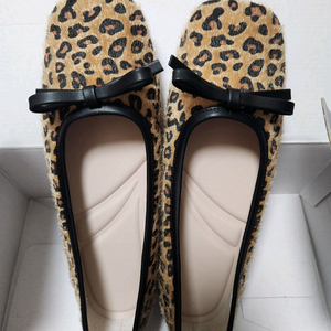 어페피피트 스퀘어플랫235