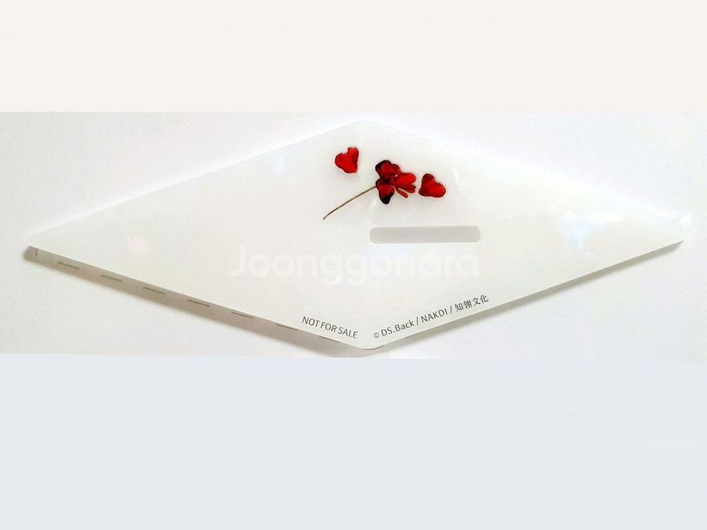 데못죽 큰세진 이세진 대만판 탄생화 아크릴 스탠드--2