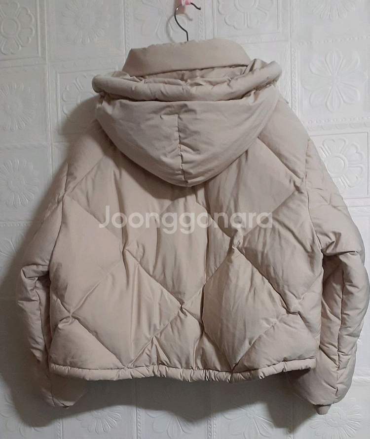 (새옷) VOICE OF VOICES 구스 숏패딩--5