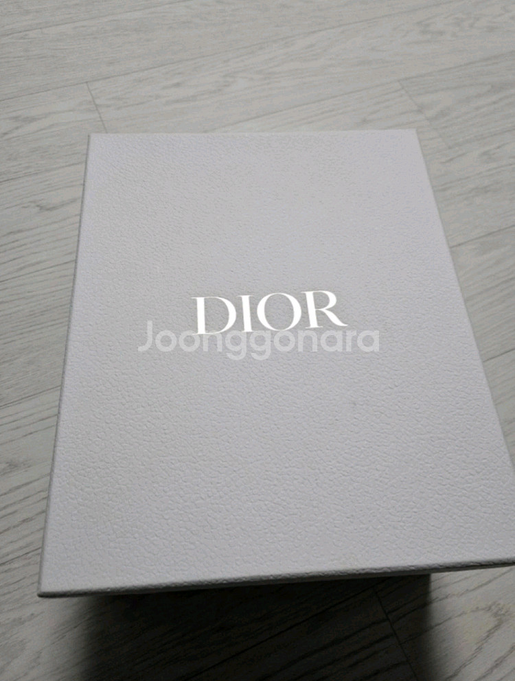 디올 레더 미니백--6