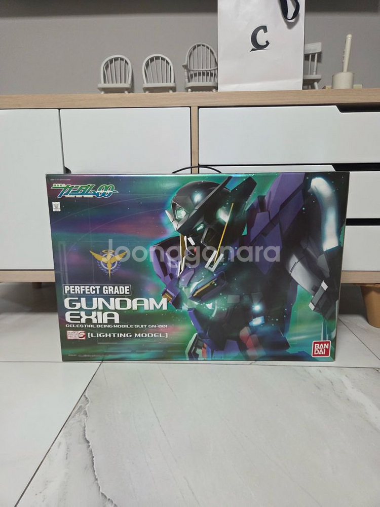 건담 엑시아 pg 라이팅모델--0