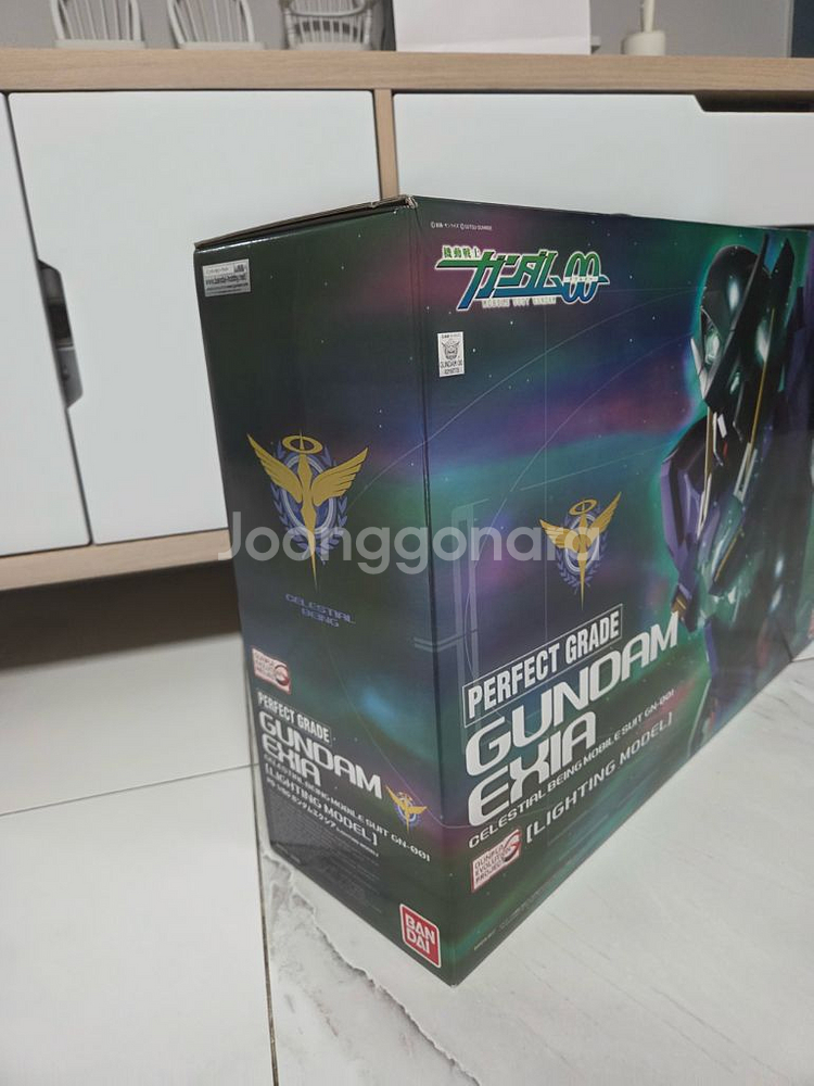 건담 엑시아 pg 라이팅모델--1