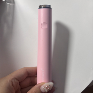 부스터프로미니