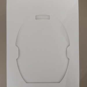 스펙트라 웨어러블2