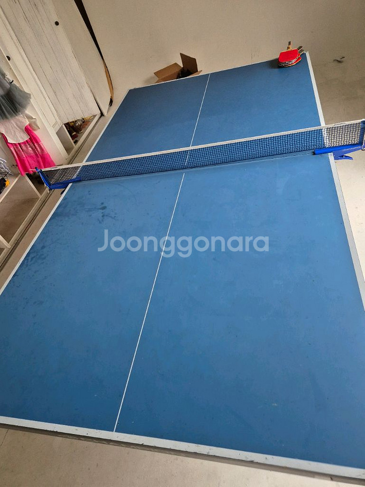 탁구대 챔피온 9000PLUS--0