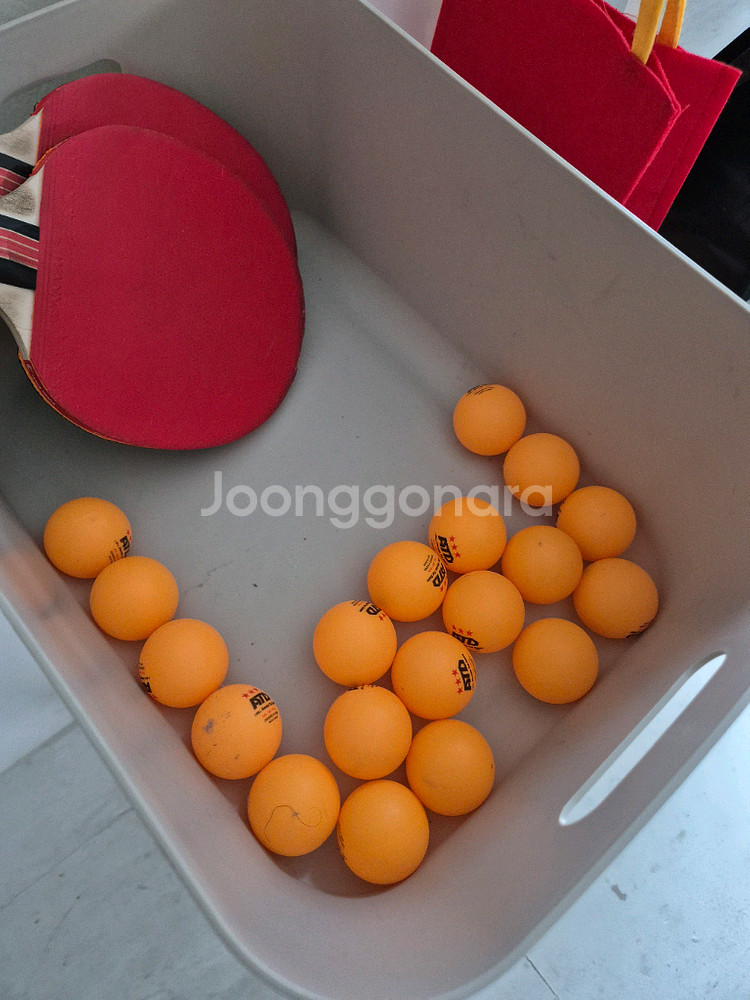 탁구대 챔피온 9000PLUS--3