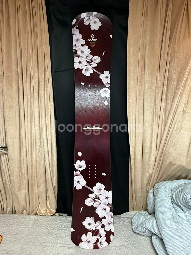 2223 아벨 체리블라썸 162--0