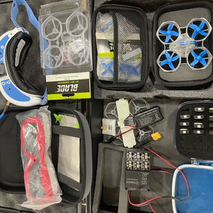 인덕트릭스BL 팻샥 도미네이터 2