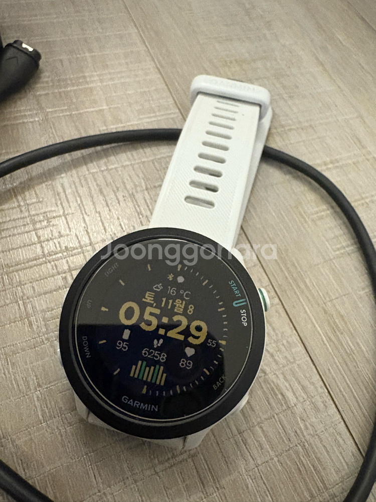 가민 포러너 55 화이트 GPS 풀박스 판매--0