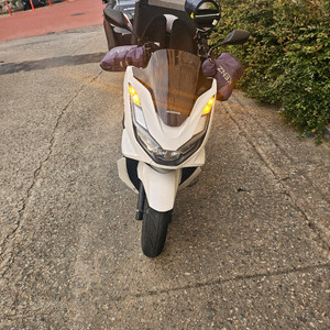 23년식pcx125