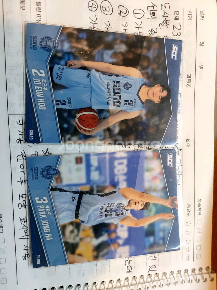 SCC대원 KBL&KBO 카드 개별판매--4