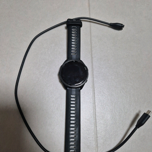 가민 포러너 965