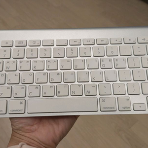 애플 무선 키보드 A1314