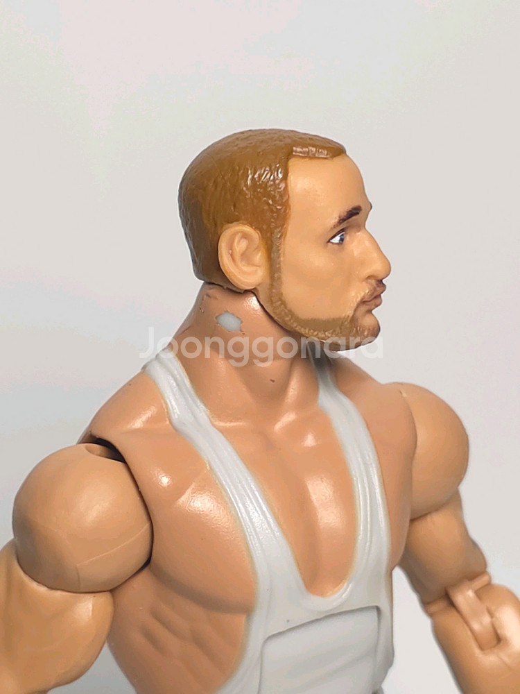 wwe 피규어 엘리트 부쉬웨커스(루크, 버치)--3