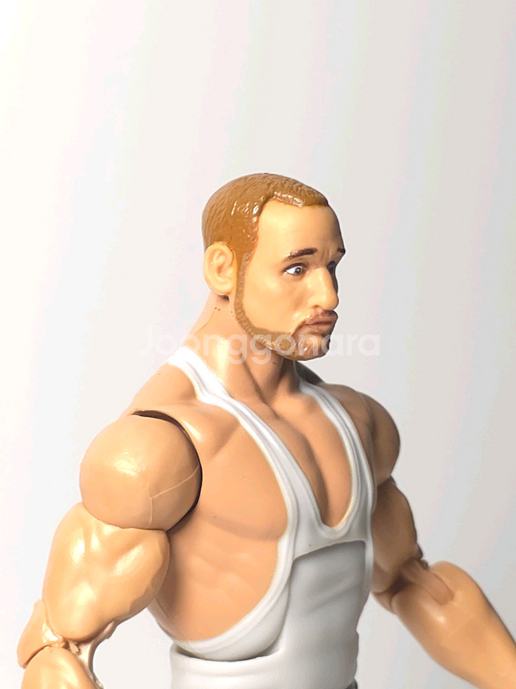 wwe 피규어 엘리트 부쉬웨커스(루크, 버치)--4