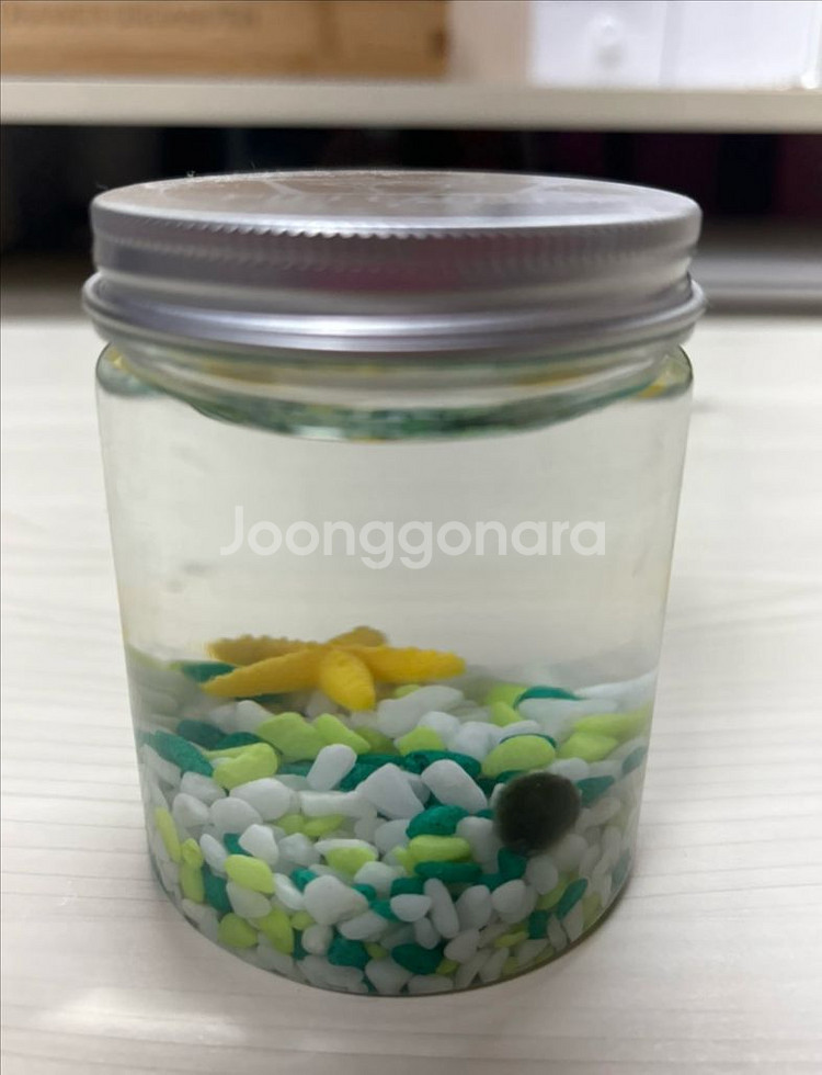 하나하나 올리기 귀찮아서 여기에 올림--8