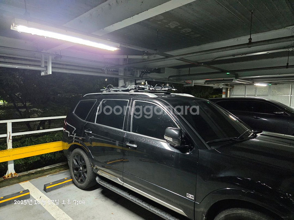 툴레 598 프로라이드 자전거 캐리어--0