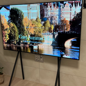 LG 65인치 OLED 4K TV (무료 이전설치 포함)