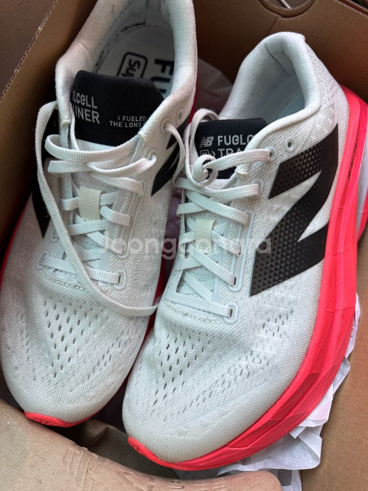 뉴발란스 퓨어셀 SC 트레이너 v3 (2E) (MRCXY4)--3