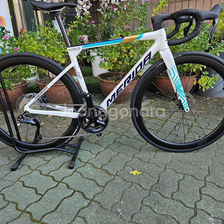 25년식 메리다 스컬트라 6000 KR--0