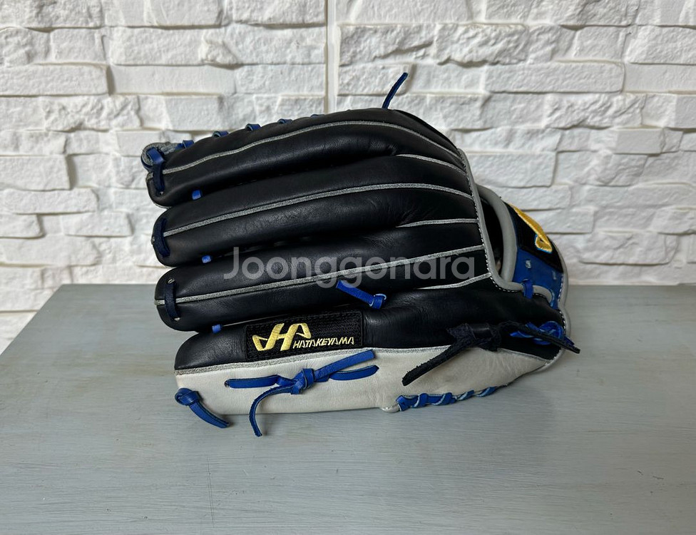 하타케야마 대만산 외야 12.75인치 야구 글러브--2