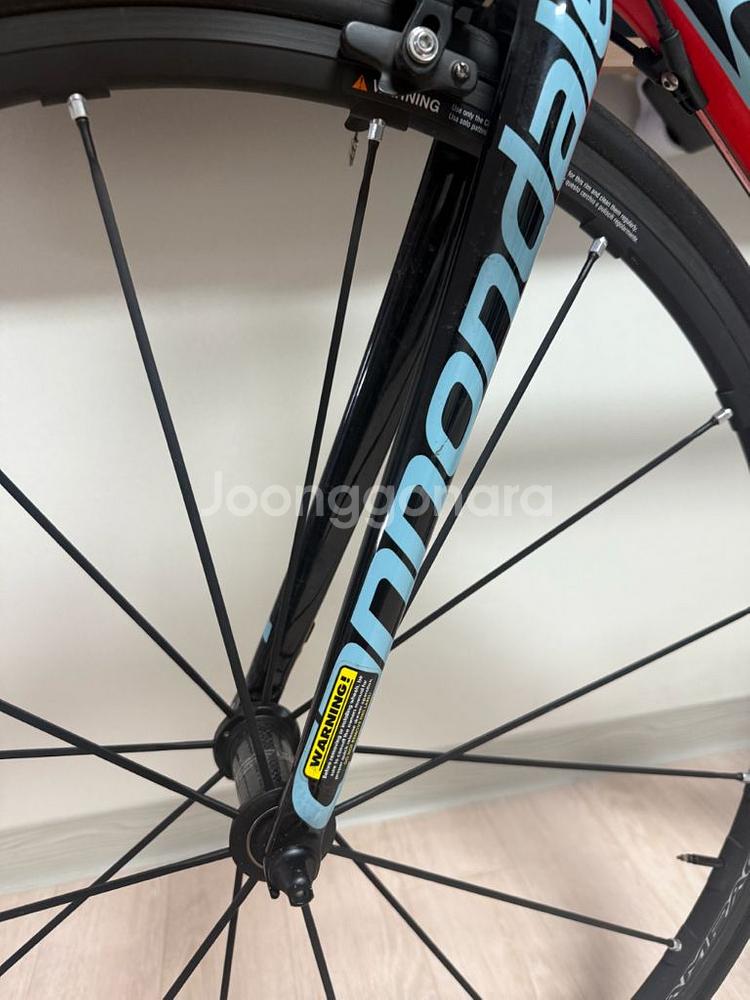 캐논데일 슈퍼식스 에보 105 사이즈52(올해 마지막 가격)--2