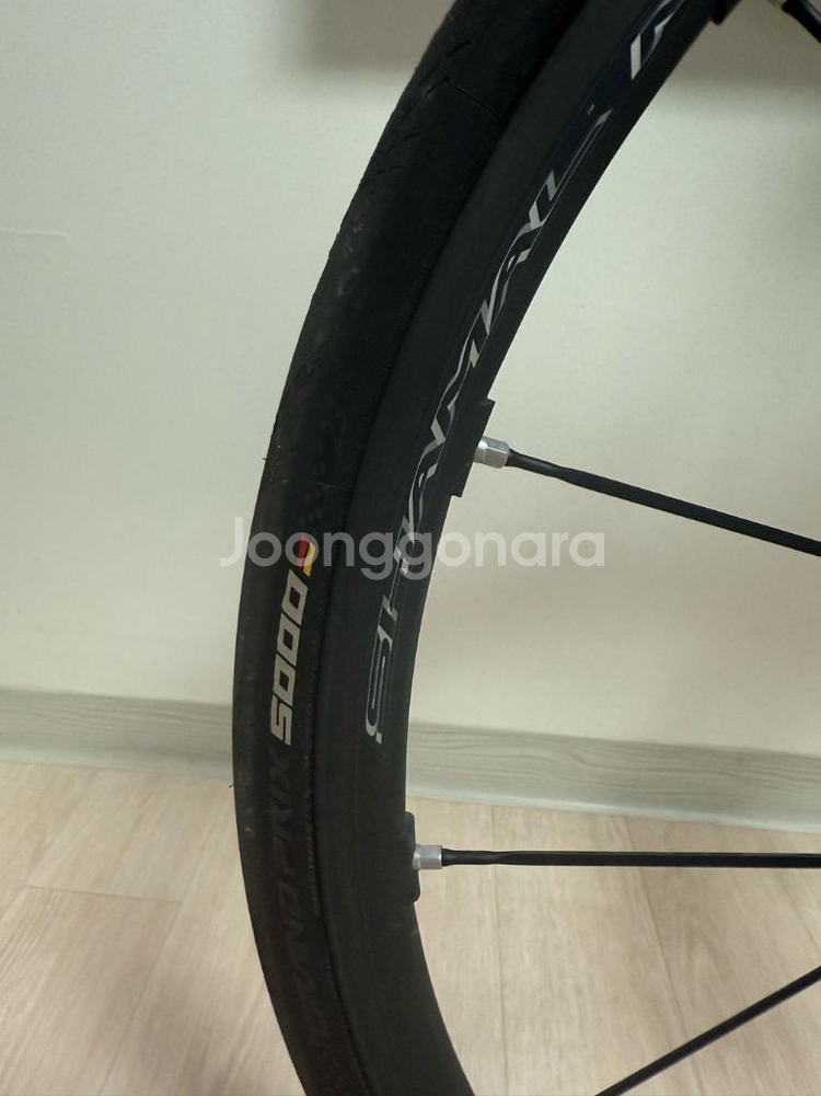 캐논데일 슈퍼식스 에보 105 사이즈52(올해 마지막 가격)--1