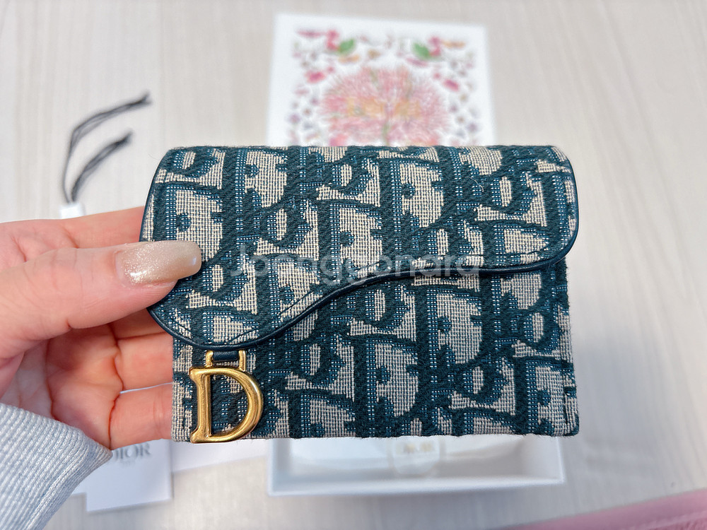 디올 오블리크 새들 카드지갑--0