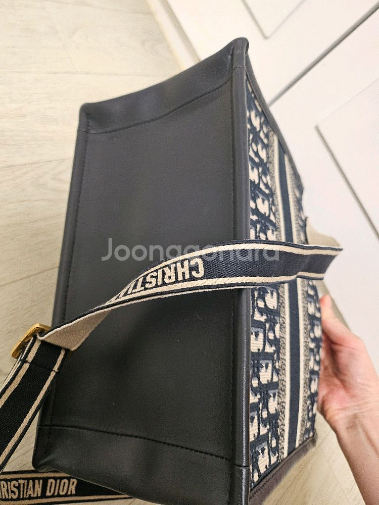 디올 북토트 스몰백--6