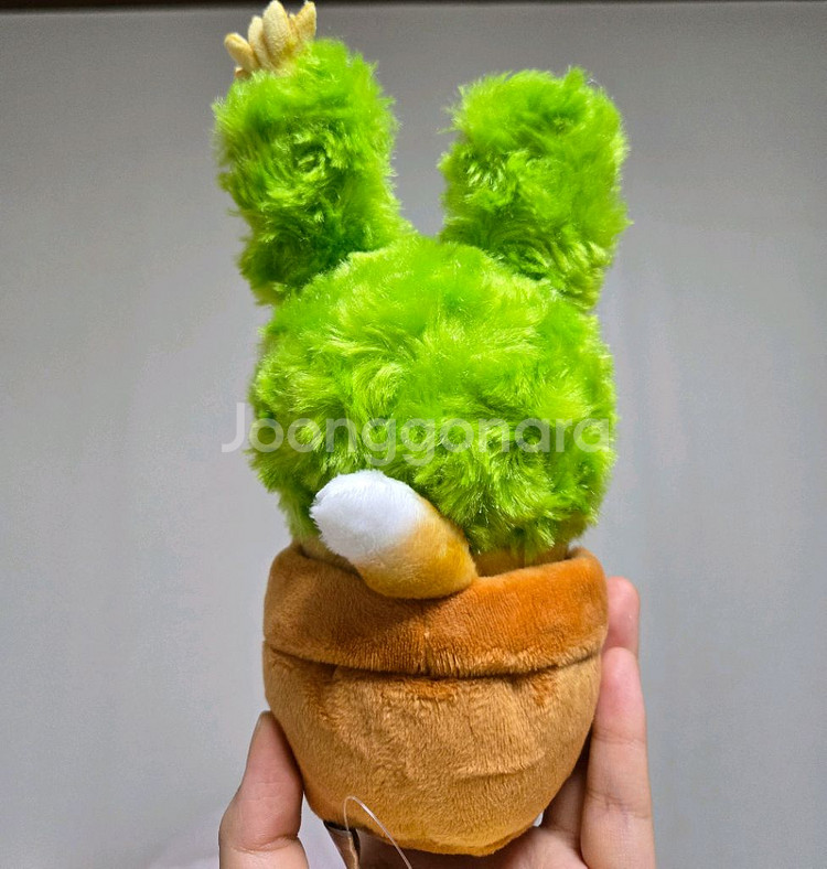 모프샌드 토끼냥 고양이 인형 피규어--2