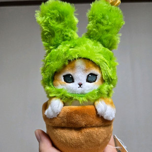 모프샌드 토끼냥 고양이 인형 피규어