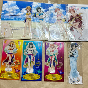 내청코 역내청 한정판 미개봉 아크릴스탠드/포카 양도